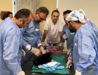 401fa929-e533-4ec8-9fab-947521539ff5